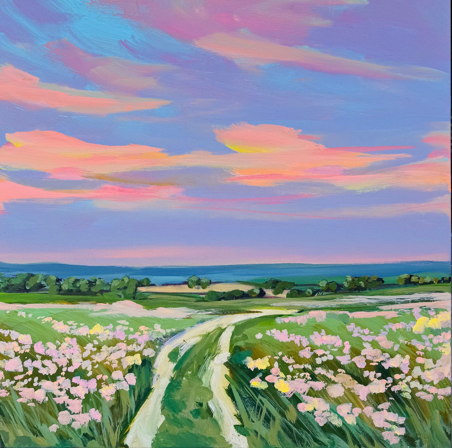 fields of daydreams