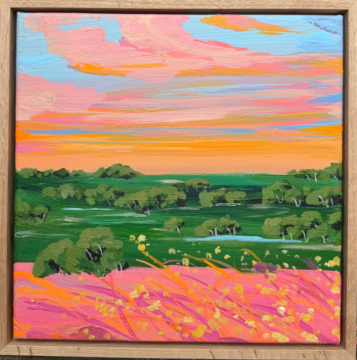 Minis landscape 5
