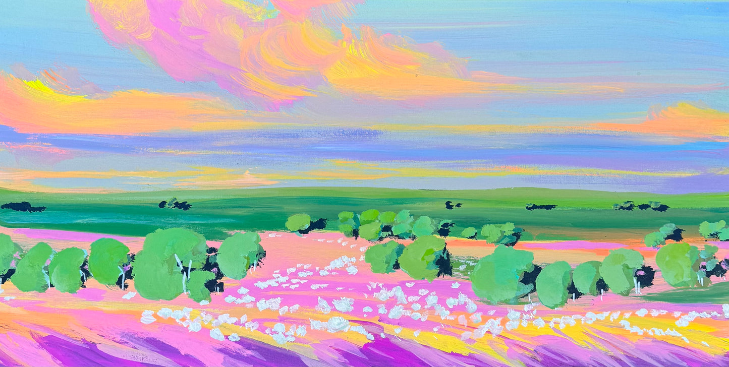 Where the wild flowers grows