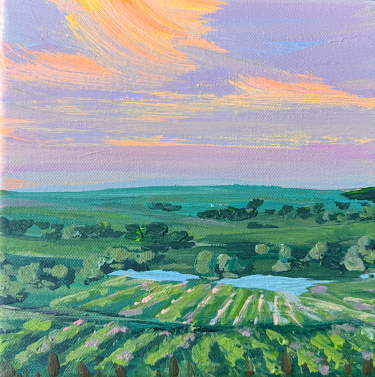 Sunset under the winery