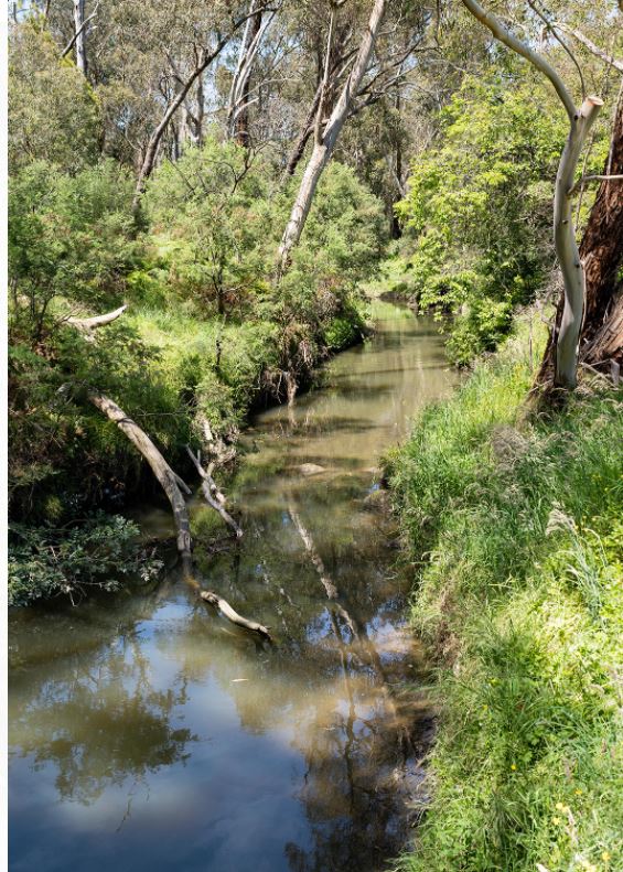 Joy of the running water