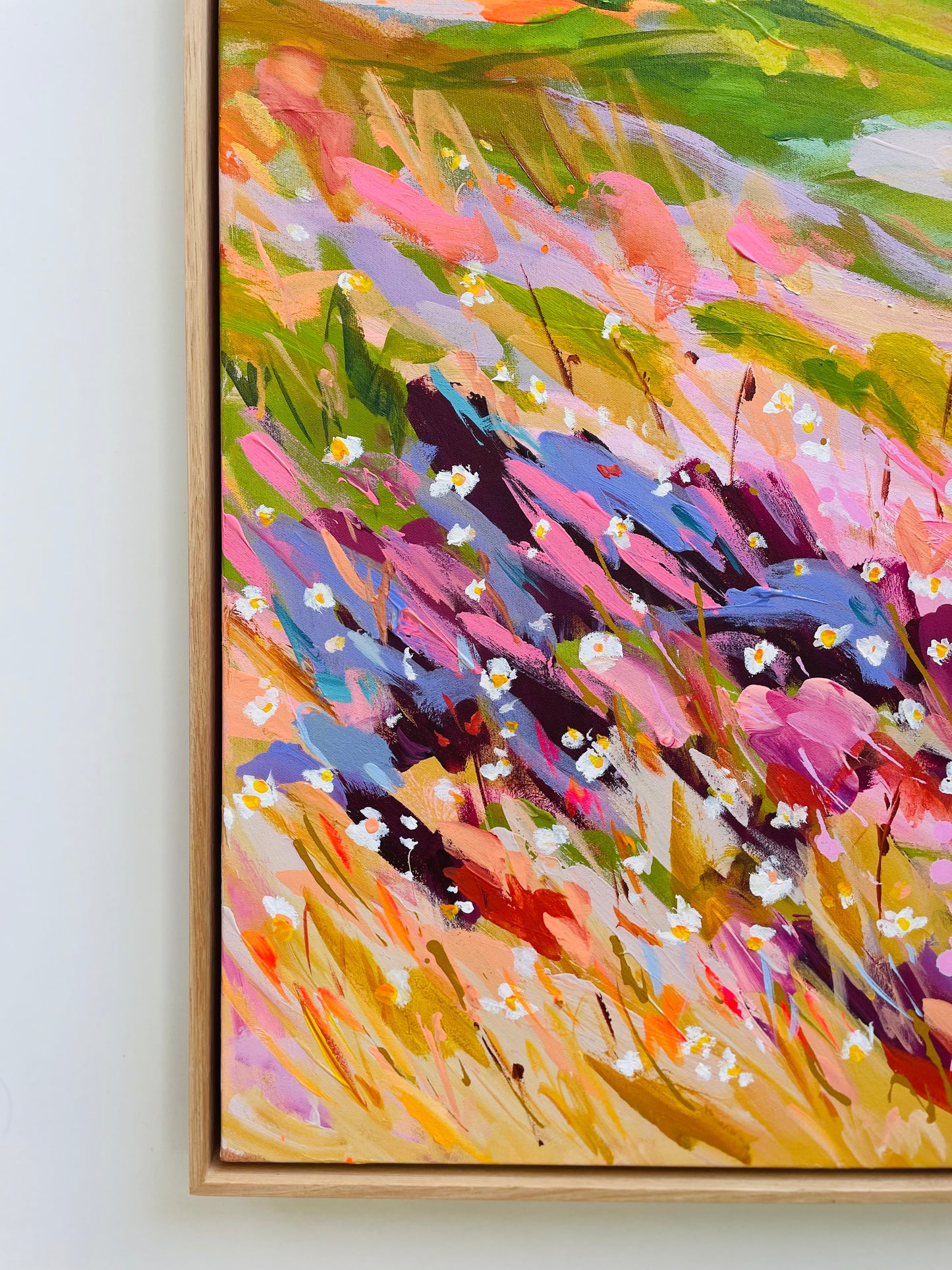 Beginning to bloom- BB1015 The rainbow sunset