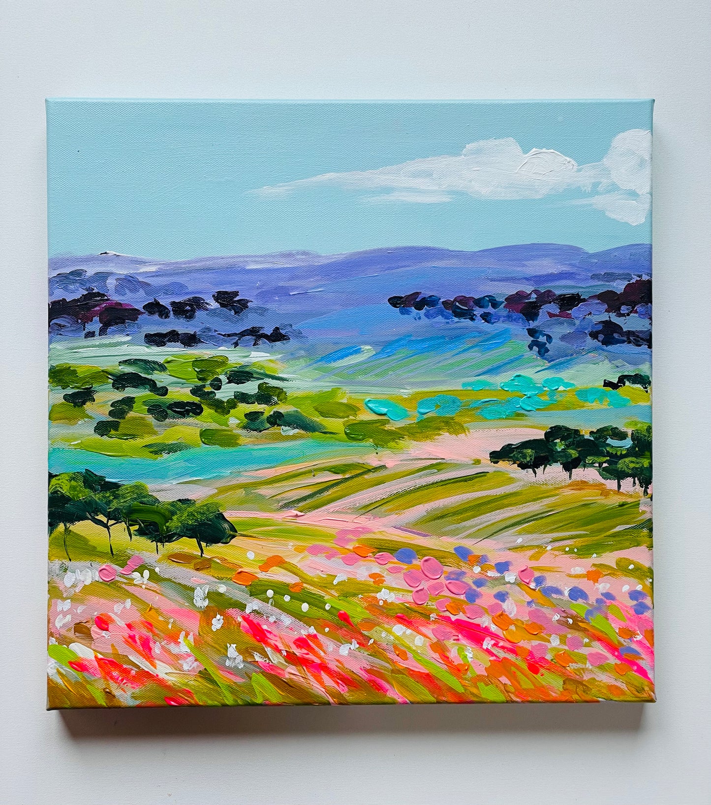 landscape studies #7