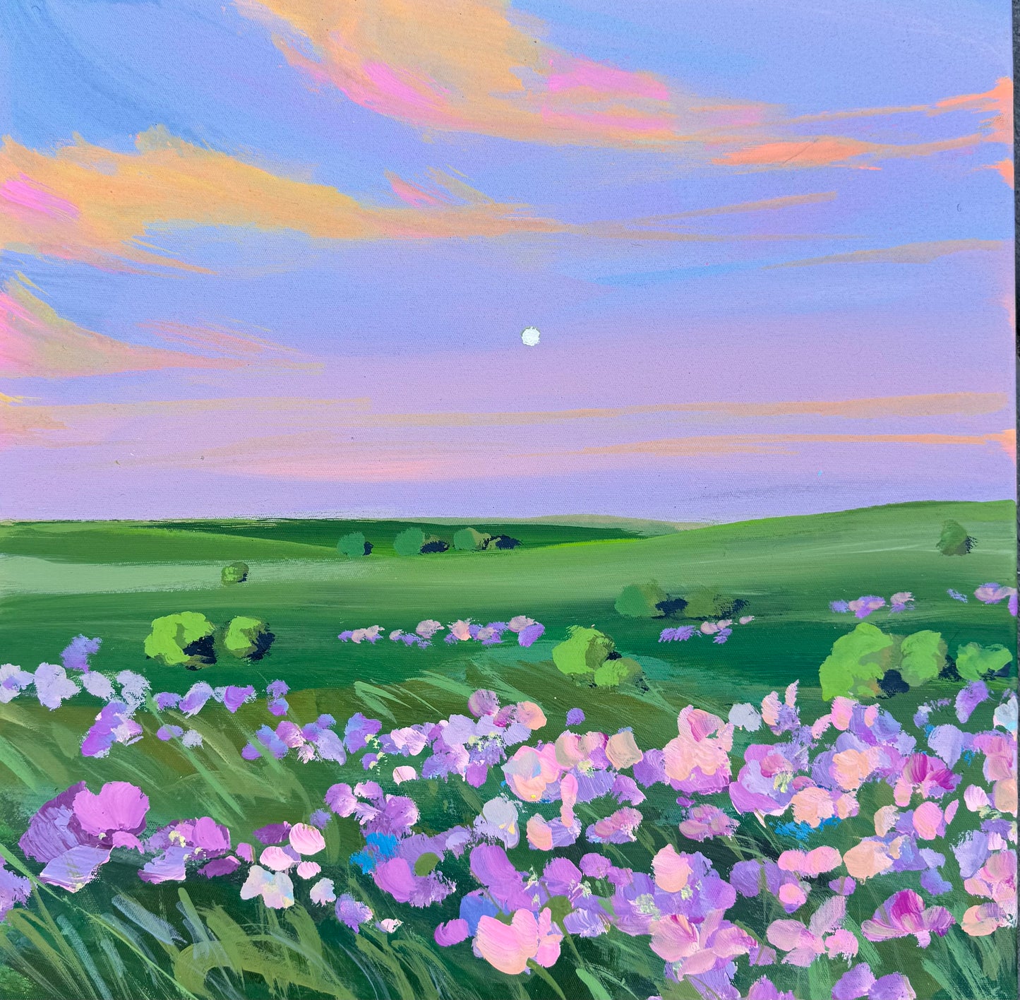 Admire the beauty at dusk