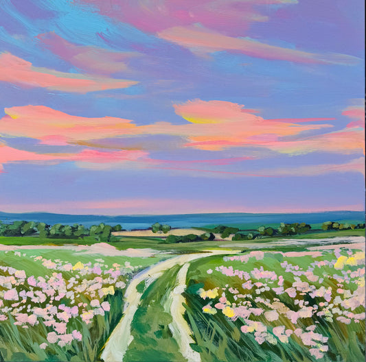 fields of daydreams