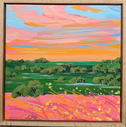 Minis landscape 5