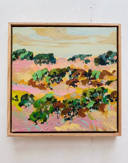 Karijini national park hill top 2