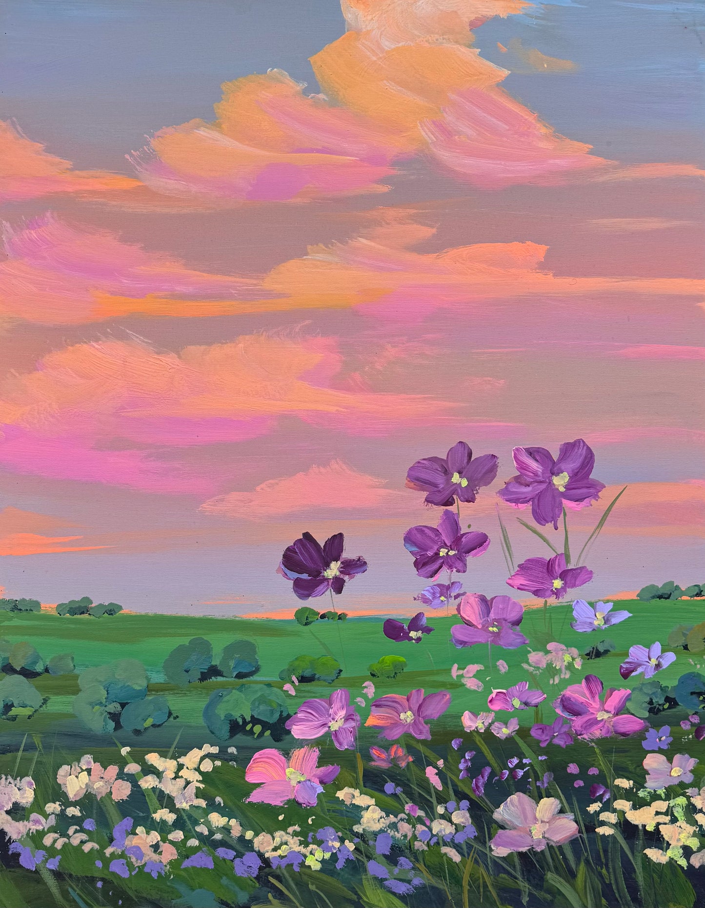 where the wild flowers dream
