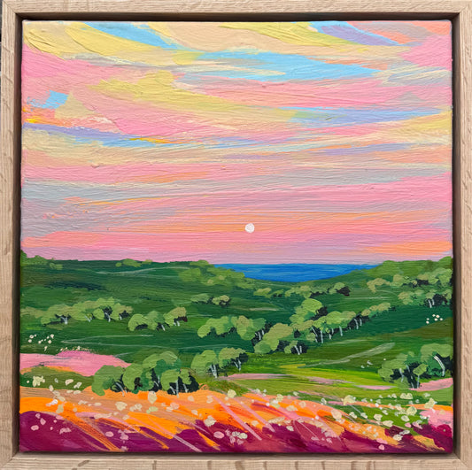 Minis landscape 1