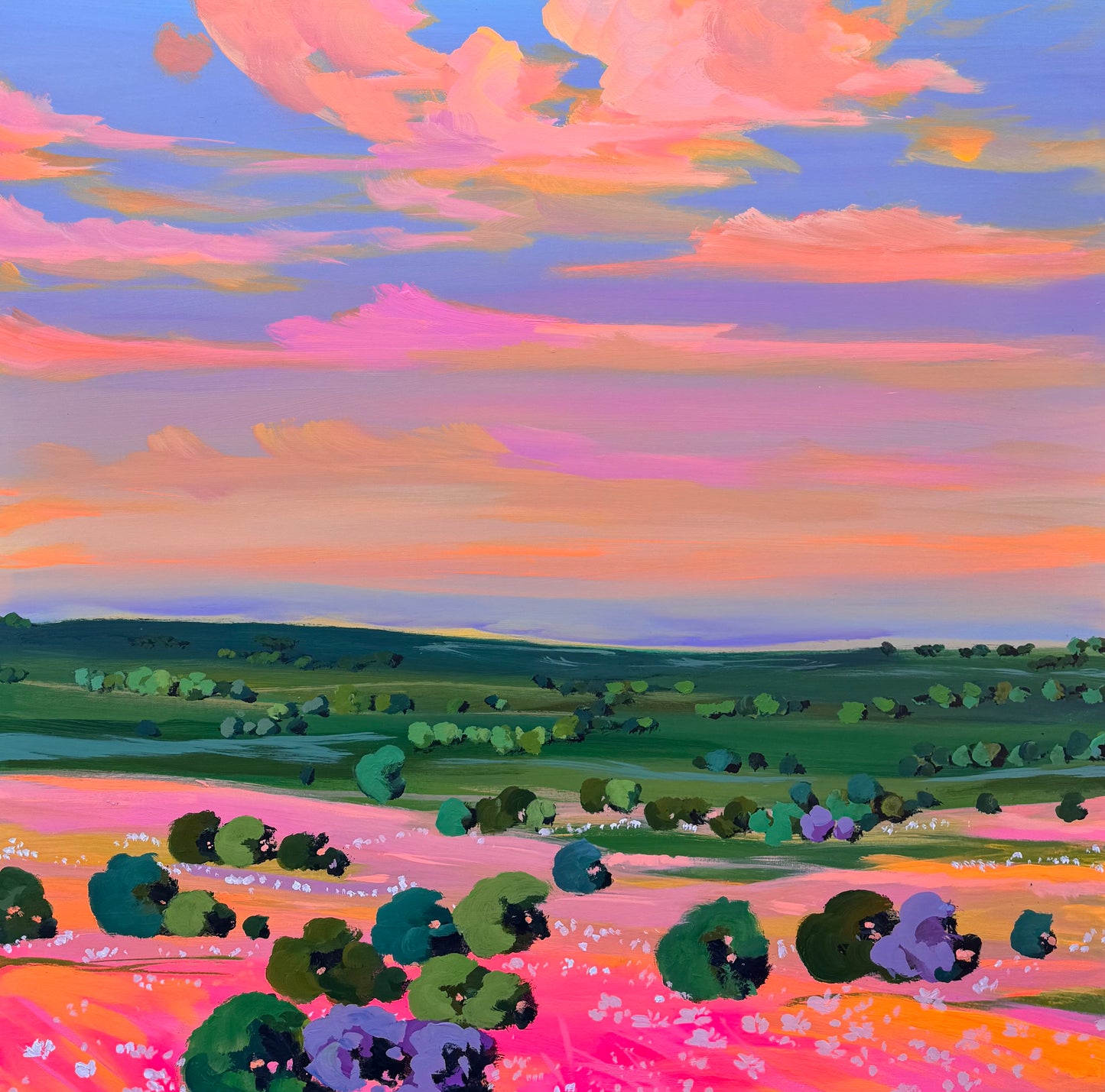 Evening glow