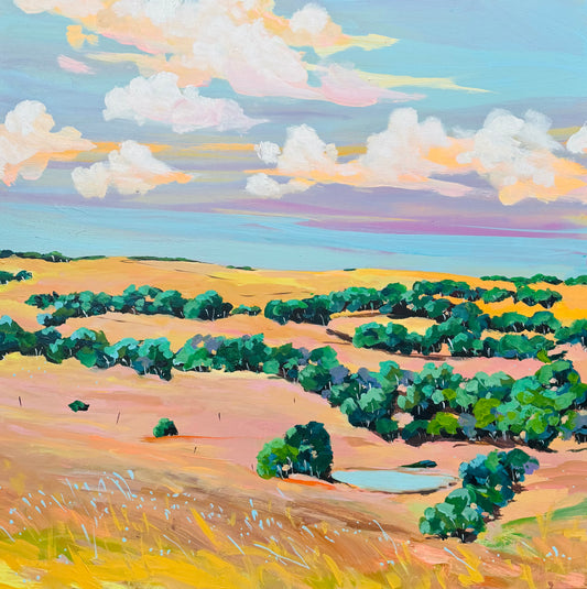 A special place in my heart