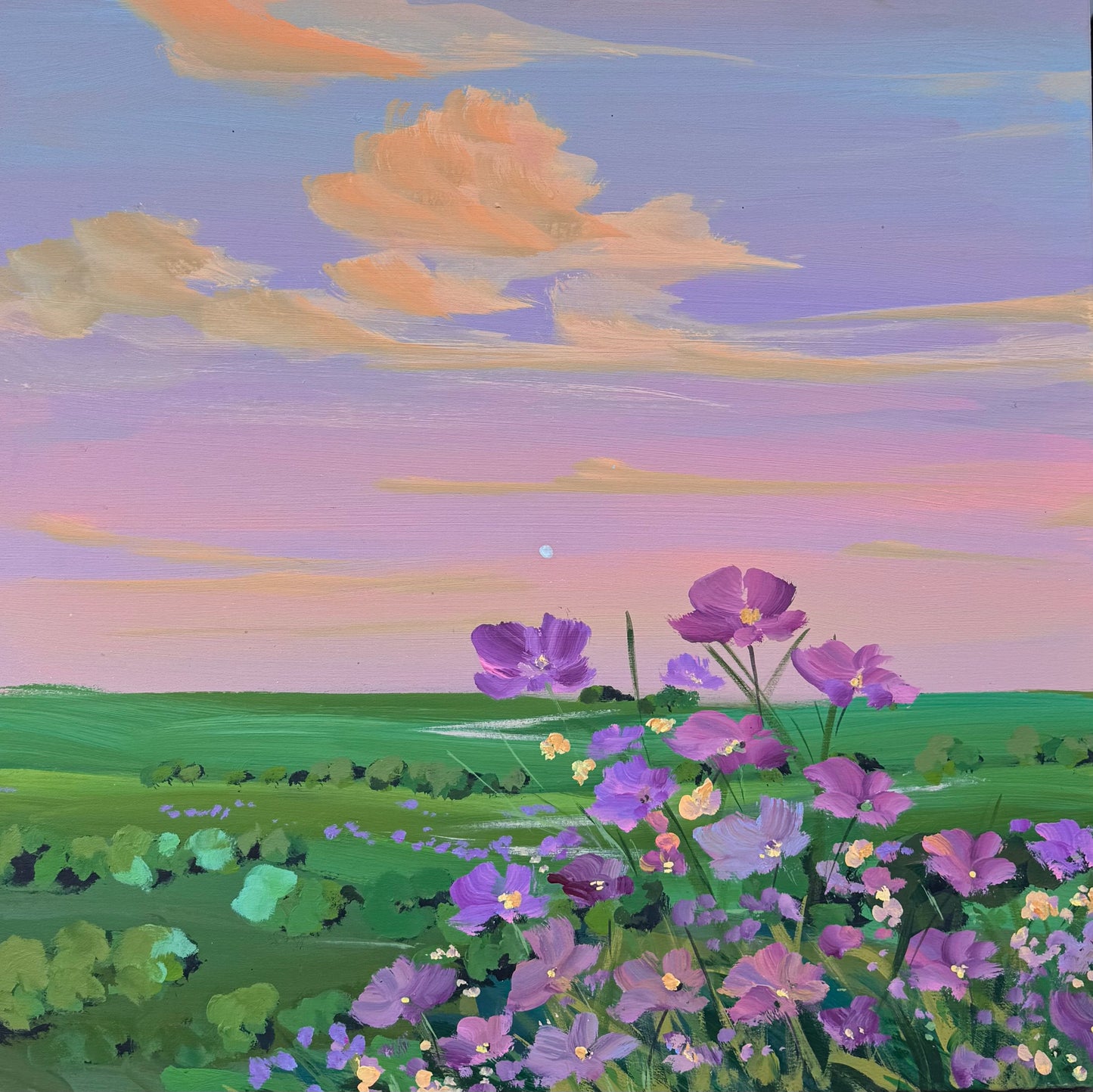 twilight blooms