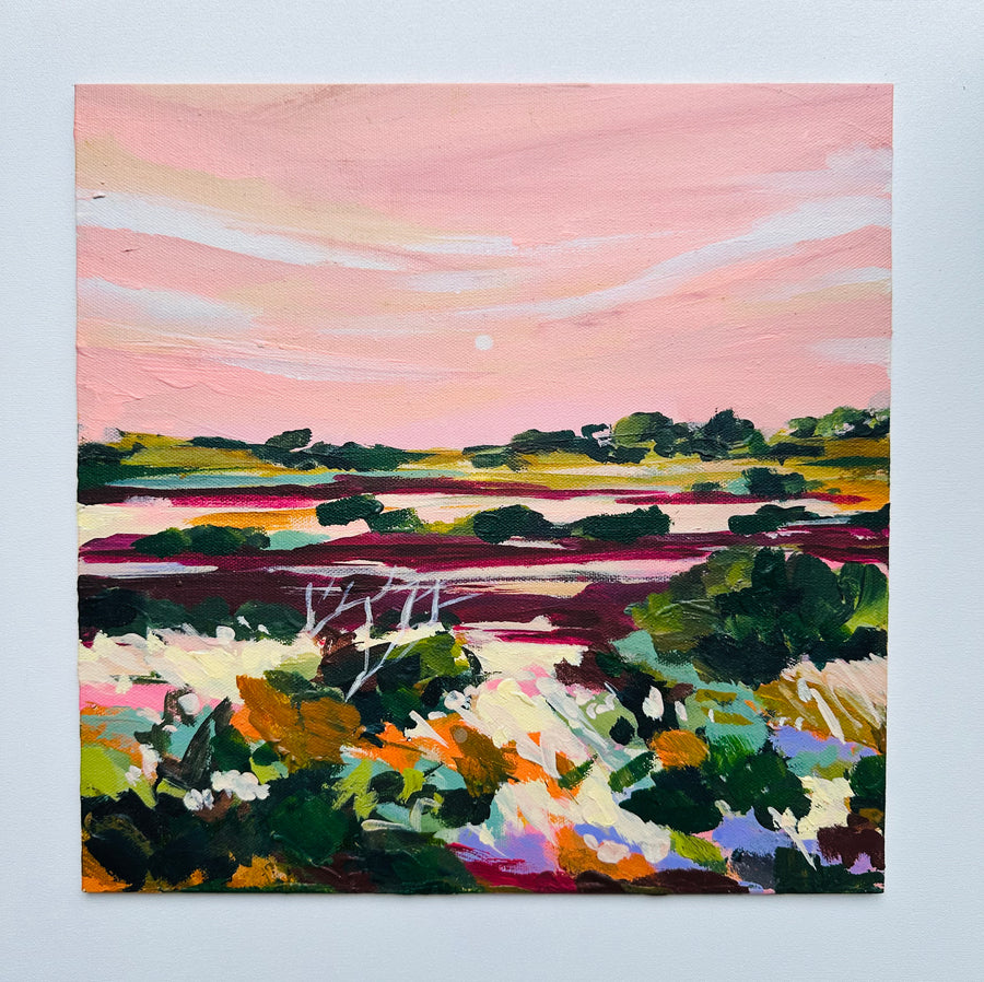 Plein Air painting SA trip - Coorong