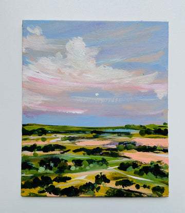 Plein Air painting SA trip -  Barossa Valley 2