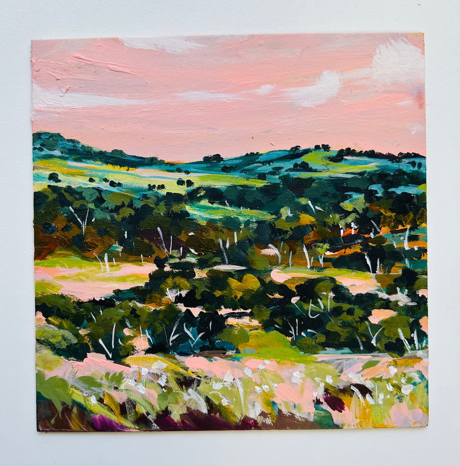 Plein Air painting SA trip - Barossa Valley