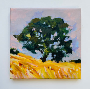 Plein Air painting SA trip - farm tree