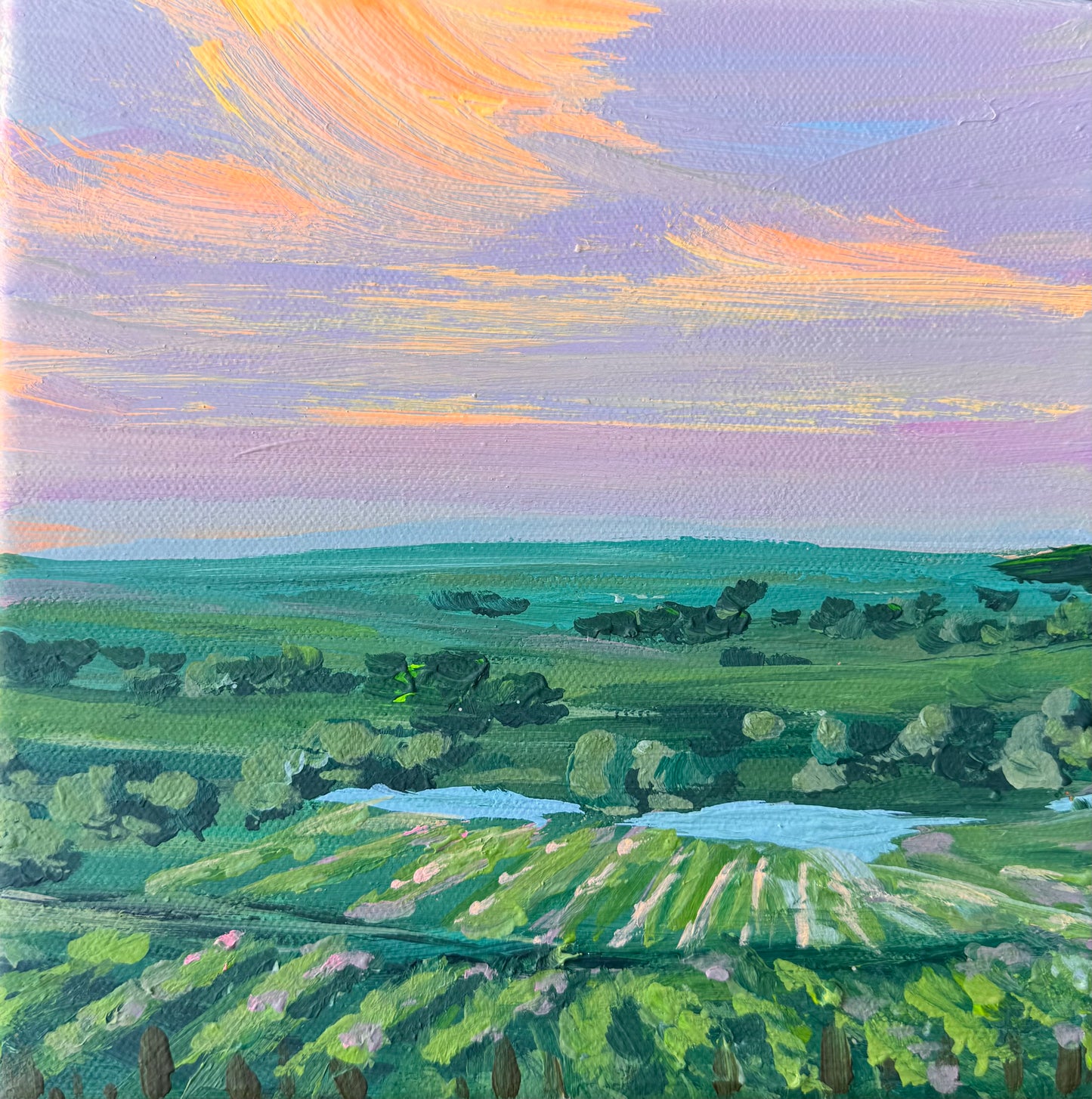 Sunset under the winery