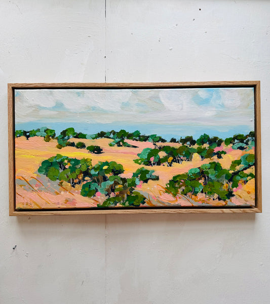 Karijini National Park hill top