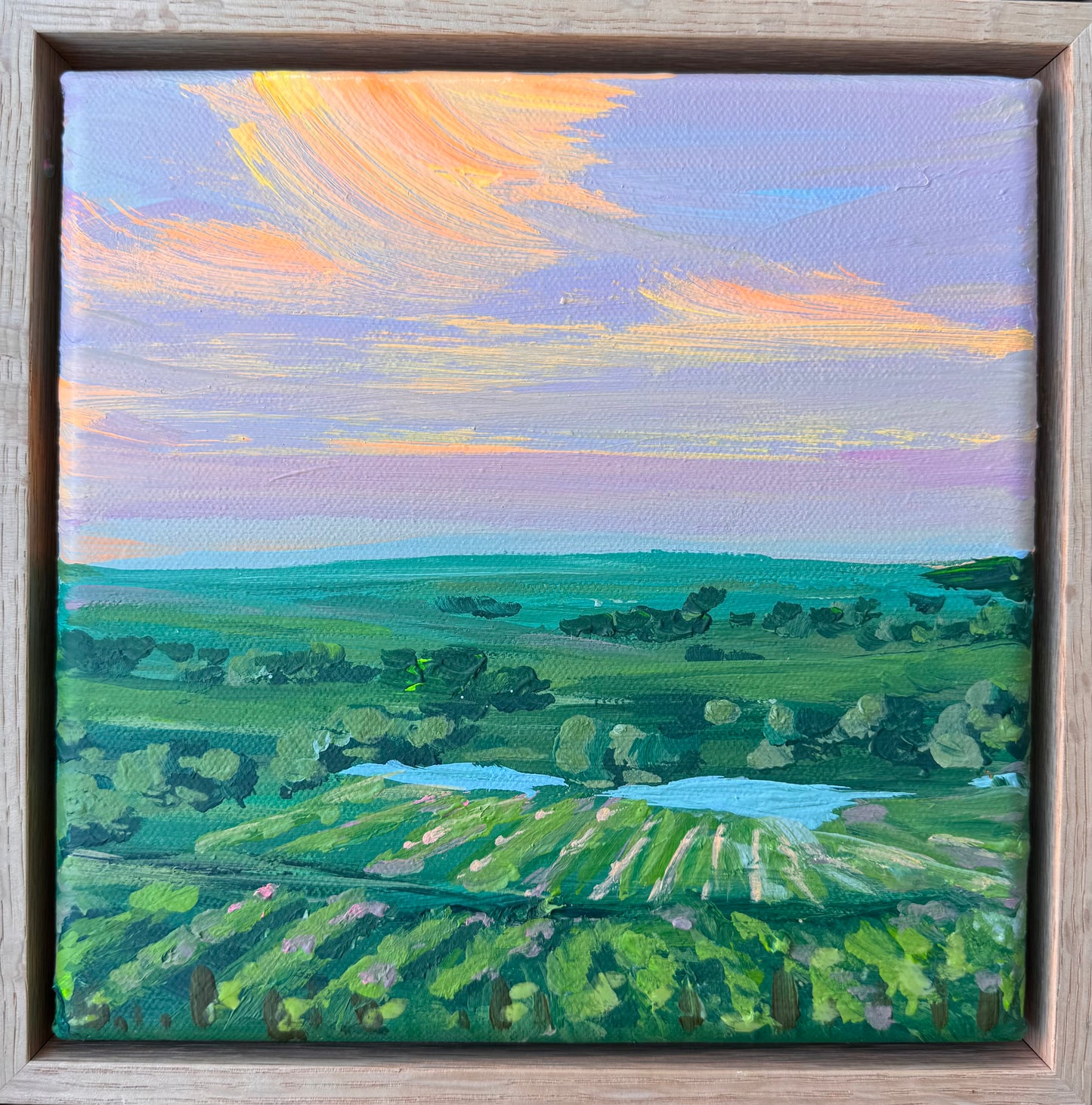 Sunset under the winery