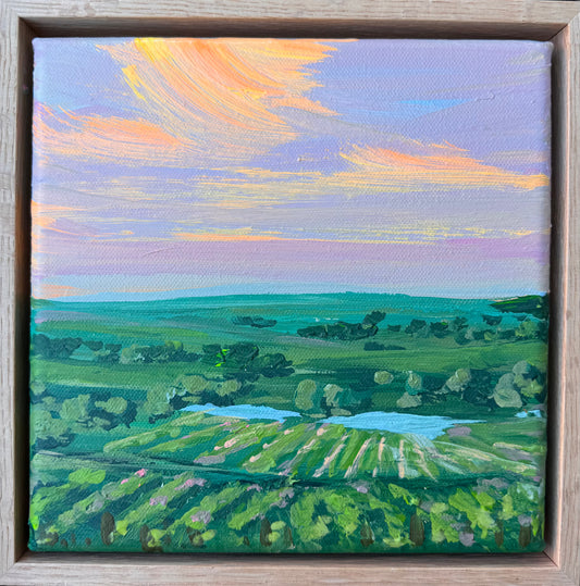 Sunset under the winery