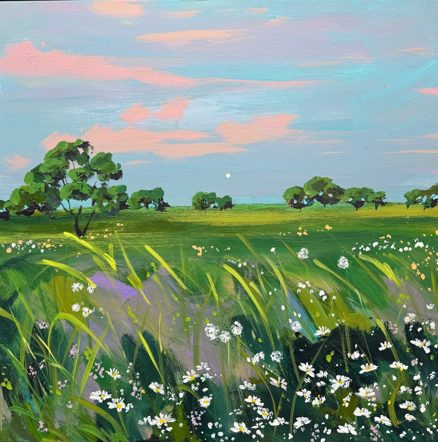 Favourite time of the day